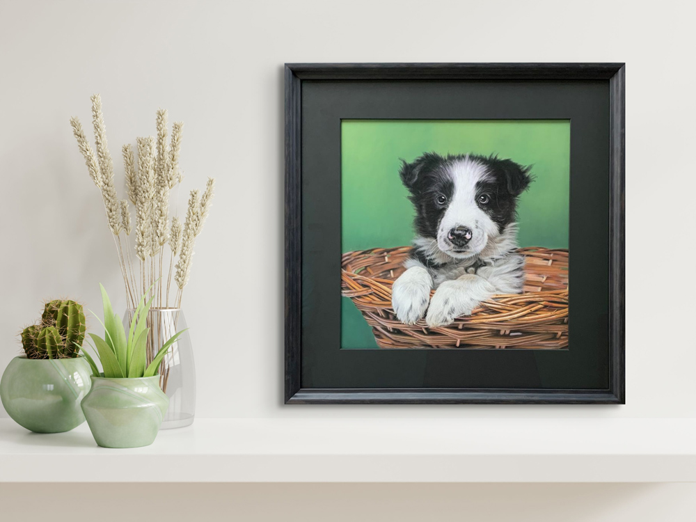 passe-partout basic foto